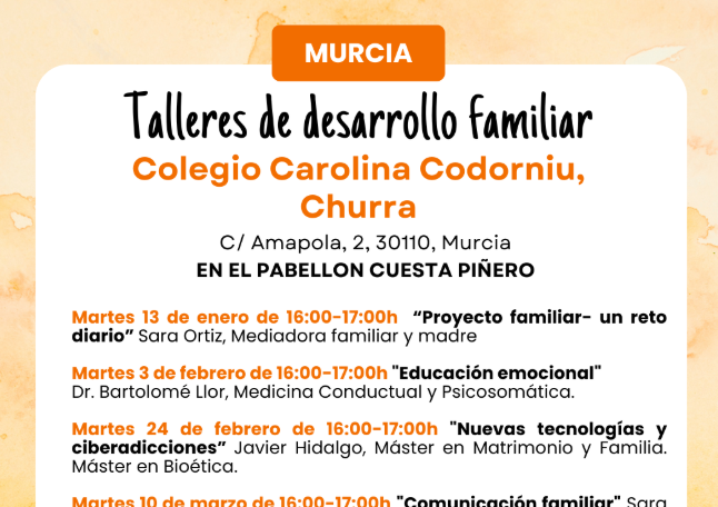 TALLERES DE DESARROLLO FAMILIAR